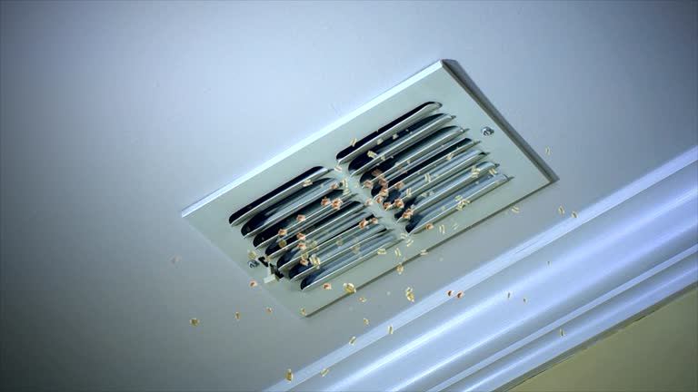 Best Best Air Duct Cleaning Company  in Eagle Lake, FL