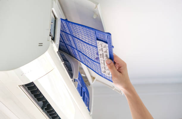 Best HVAC Duct Inspection Services  in Eagle Lake, FL