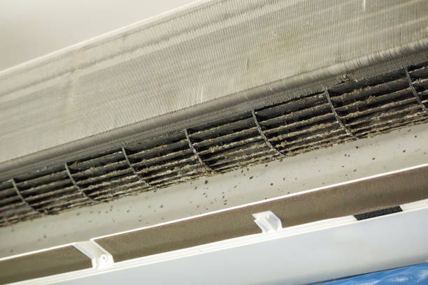 Best Affordable Duct Cleaning Services  in Eagle Lake, FL