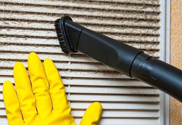 Best HVAC System Cleaning  in Eagle Lake, FL